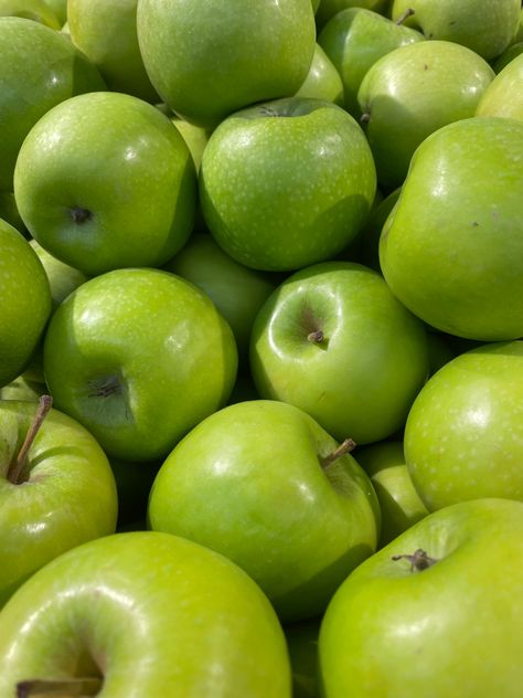 Green Apple Aesthetic, Stanley Uris, Green Apples, Apple Apple, Green Fruit, Eat The Rainbow, Taste The Rainbow, Brain Dump, Tropical Fruits