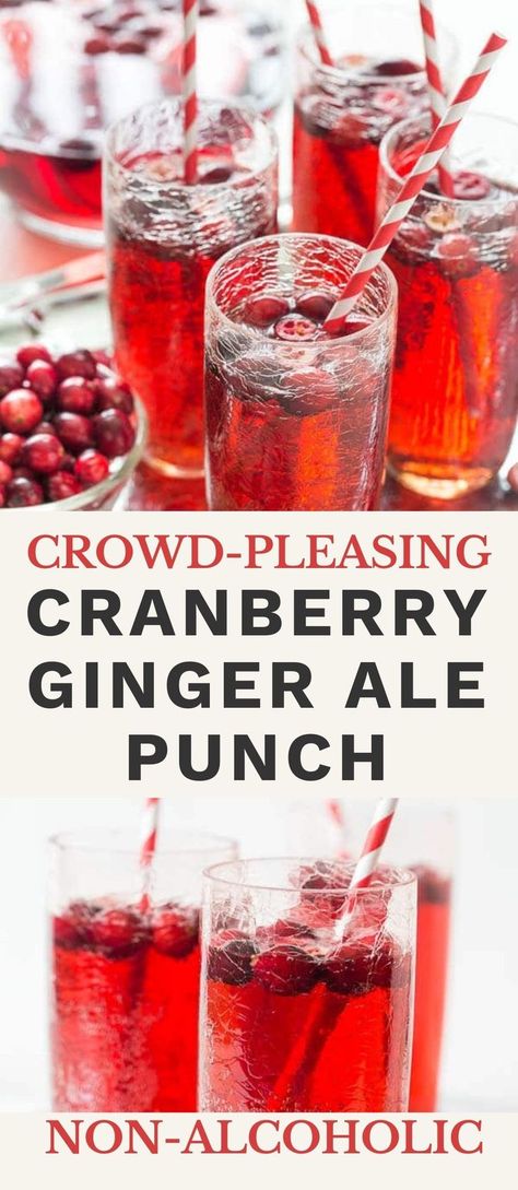 Drinks With Cranberry Ginger Ale, Punch With Cranberry Ginger Ale, Cranberry Ginger Ale Punch Non Alcoholic, Easy Christmas Punch Recipes Non Alcoholic, Ginger Ale And Cranberry Juice, Christmas Punch Recipes Non Alcoholic Ginger Ale, Cranberry Punch Recipes Ginger Ale, Ginger Ale Punch Recipes, Easy Holiday Punch Non Alcoholic