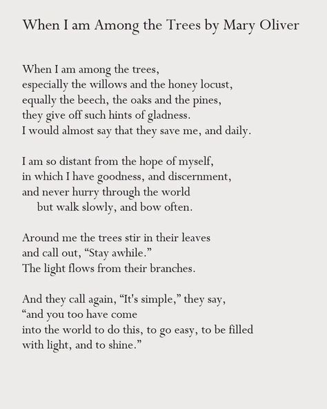 When I Am Among The Trees, When I Am Among The Trees Mary Oliver, Mary Oliver Poems About Love, Devotions Mary Oliver, Mary Oliver Poems Nature, Mary Oliver Dog Poems, Marry Oliver Poems, The Journey Mary Oliver, Mary Oliver Devotions