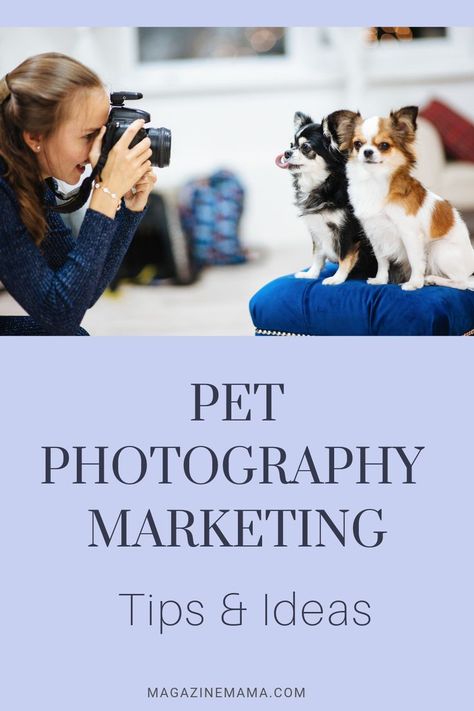 Birth Photography Tips, Pet Photography Ideas, Pet Photography Props, Pet Photography Business, Maternity Photography Tips, Pet Photography Poses, Pet Photography Tips, Animal Photoshoot, Newborn Photography Poses