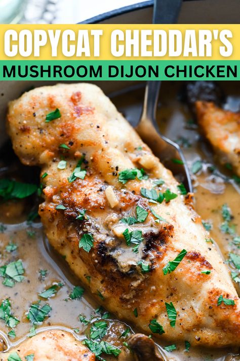 Creamy Dijon Mustard Mushroom Chicken, Honey Mustard Chicken With Mushrooms, Grilled Chicken And Mushrooms, Cheddars Dijon Chicken Recipe, Cheddars Honey Dijon Chicken, Cheddars Dijon Chicken And Mushrooms, Dijon Chicken And Mushrooms, Chicken Mushrooms Recipes, Golden Mushroom Chicken