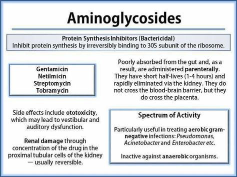 Pharmacology Antibiotics, Parish Nurse, Nursing School Success, Nursing Pharmacology, Nursing Flashcards, Np School, Nursing School Essential, Student Info, Medical School Life