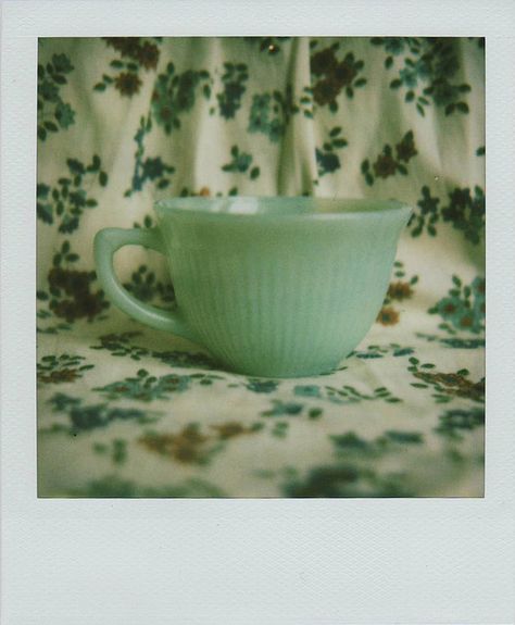 Green Polaroid, Cold December, Expired Film, Polaroid Instax, Polaroid Photography, Instant Photography, Polaroid Pictures, Movie Lines, Instant Film