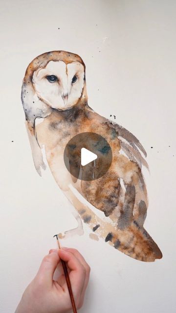 Owl Watercolor Tutorial, Barn Owl Photography, Owl Tutorial, Bird Artists, Owl Watercolor, Arches Paper, Bird Watcher, Watercolour Tutorials, Barn Owl