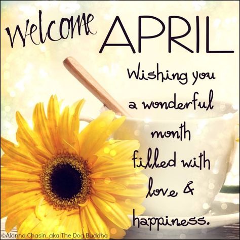 Welcome April! Wishing you a wonderful month filled with love & happiness… April Month Quotes, Happy April Quotes, Happy New Month Images, April Images, Welcome April, Happy New Month Quotes, New Month Wishes, April Month, April Quotes