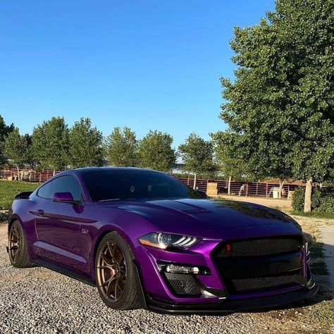 Black And Purple Mustang, Purple Ford Mustang, Dark Purple Mustang, Dark Purple Car Wrap, Modded Mustang, Midnight Purple Car, Mustang Purple, Mustang Wrap, Purple Car Wrap