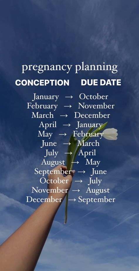 Pre Conception Planning, Due Date Chart, Preconception Planning, Pregnancy Chart, Pregnancy Planning, Planning Pregnancy, Holistic Nutritionist, Conceiving, Future Mom