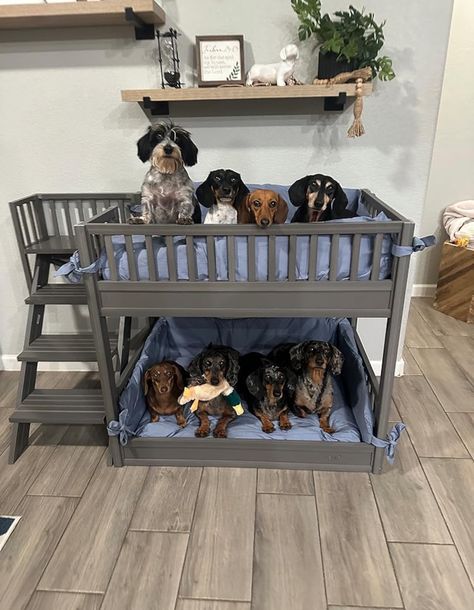 Bunk Bed For Dogs, Pet Bunk Bed, Dog Bunk Beds, Dog Nook, Dog Room Decor, Custom Dog Beds, Dog Corner, Diy Dog Bed, Animal Room