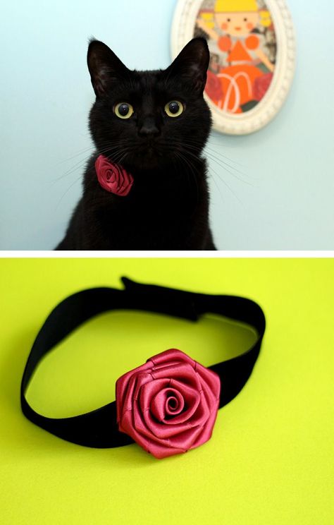 green collar, cat gifts, fancy collar, cute collar, cat collar bell, collar pattern, collar tag, cat collar charms, neck collar, luxury collar, cat collar bells, black cat collar, cat collar, cat bell, cat collars, diy collars, pink collar, laser collar, cute cat, cat collar flower How To Make A Cat Collar, Cat Collars Diy, Kitten Decor, Puppy Accessories, Pet Blog, Dog Clothes Patterns, Cat Fashion, Kittens And Puppies, Dog Scarfs