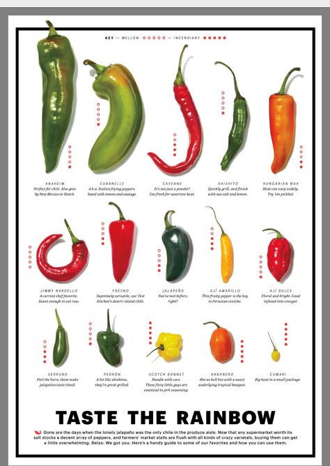 Hot Pepper varieties Types Of Chili Peppers, Types Of Peppers, Stuffed Anaheim Peppers, Hot Sauce Recipes, Homemade Spices, Chilli Pepper, Taste The Rainbow, Food Facts, Spice Blends