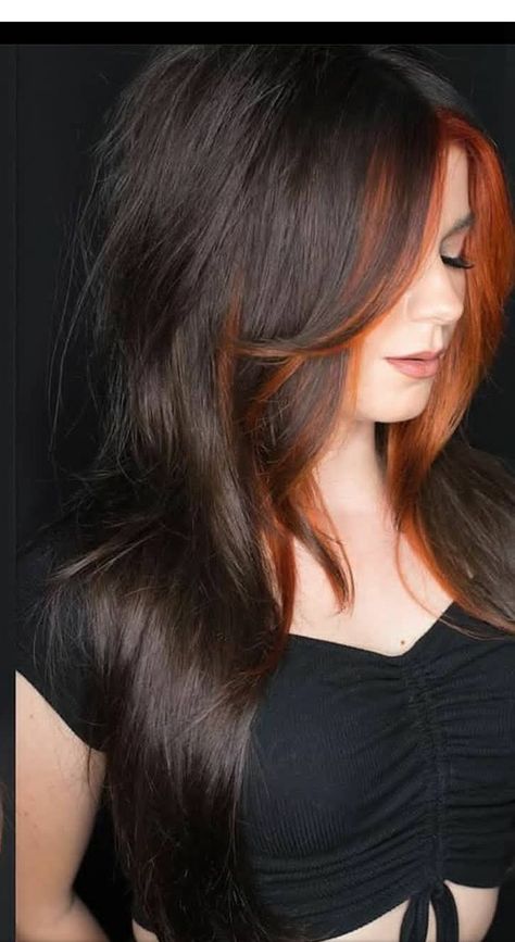 Orange Peekaboo Hair, Black Hair With Copper Highlights, Wigs Y2k, Layered Hair Ideas, Lovely Hairstyles, Color Block Hair, Butterfly Haircut, Split Dyed Hair, Rainbow Hair Color