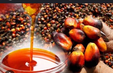 Palm Kernel Oil, Edible Oil, Cooking Oil, The Fruit, Palm Oil, Food Menu, Vegetable Oil, Skin So Soft, Restaurant Design