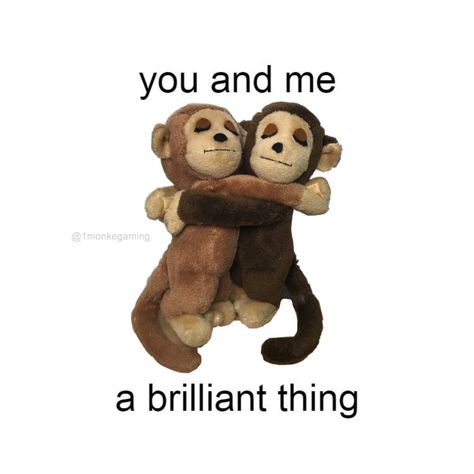 Two Monkeys, Silly Love, Paz Mental, Me And Bae, I Love My Friends, I Love My Girlfriend, Love My Boyfriend, After Life, Love My Husband