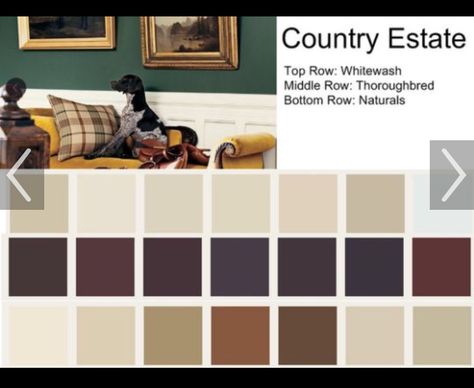 Ralph Lauren Paint Colors, Rustic Paint Colors, Rustic Paint, Ralph Lauren Paint, Rustic Photography, Farmhouse Patio, Rustic Apartment, Paint Color Chart, Rustic Shower