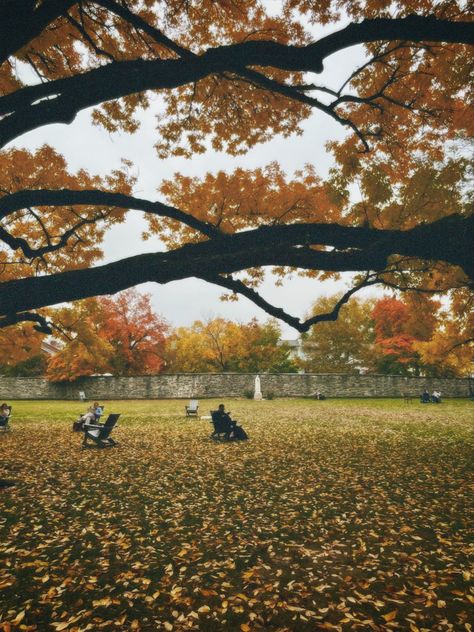 Georgetown Washington Dc Fall, Georgetown University Aesthetic, Danica Core, Georgetown University Washington Dc, Autumn Dark Academia, Autumn Ambience, University Washington, Dc Aesthetic, Georgetown Washington Dc