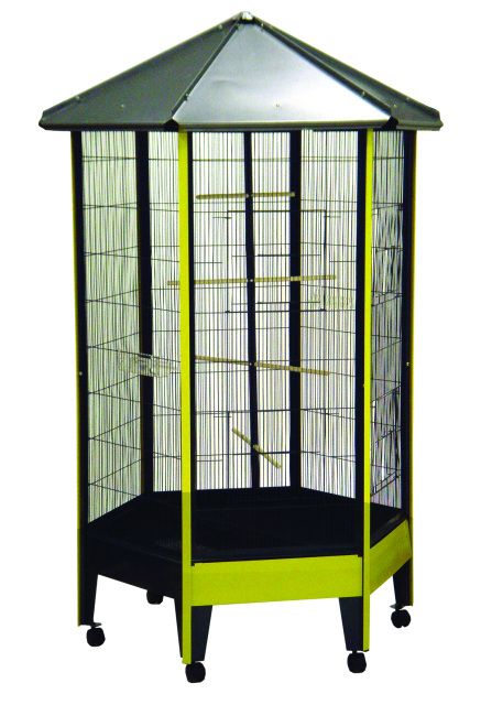 YML main site Parrot Aviary, Conure Cage, Big Bird Cage, Pet Bird Cage, Large Bird Cages, Fish Tank Lights, Toy Dog Breeds, Bird House Kits, Bird Aviary