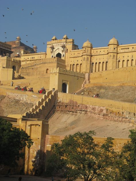 The Amber Fort, Amer, Jaipur, Rajasthan, India Amber Fort Jaipur Photography, Fort Photography, Jaipur Photography, Amer Fort Jaipur, Amber Fort Jaipur, Amber Fort, Amer Fort, Christmas Decorations For Kids, Indian History