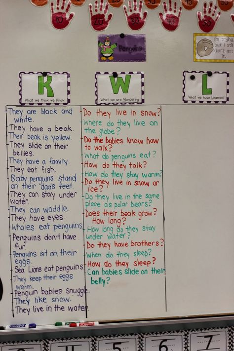 Kindergarten Smiles: Starting our new unit: Penguins All About Penguins Preschool, Penguin Unit For Kindergarten, Penguin Facts For Kids, Penguins Kindergarten, Penguin Writing Activities, Penguin Inquiry Kindergarten, Pre K Lesson Plans, Life Science Activities, Interactive Bulletin Board