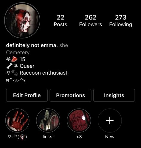 Red Aesthetic Instagram, Mall Goth Wallpaper, 90s Mall Goth, Instagram Account Ideas, Aesthetic Emo, Insta Layout, Bios Para Instagram, Ig Bio, Aesthetic Goth