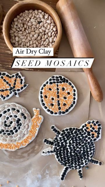 Natalie on Instagram: "Air dry clay seed mosaics ✨ We needed a little something to spruce up the garden as it makes its transition into fall and these were just the thing ✨ For this you’ll need air dry clay, some old seeds and beans or remnants of whatever you have sitting around in your pantry (we used very old or expired dry goods). Roll out the clay with a rolling pin and cut out a circle with a biscuit cutter or cookie cutter. You’ll want it rather thick so it doesn’t break easily. Push beans and seeds down into the clay, let it dry for 3-4 days and THIS IS THE MOST IMPORTANT PART - give it a good spray on all sides with an acrylic sealer. I like the modge podge spray (it stinks so make sure you use it outside!). Now you’ve got some happy little garden decorations to make you smile th Clay Preschool Activities, Seed Mosaic For Kids, Air Dry Clay Ideas Useful, Air Dry Clay Toddler Craft, Bean Mosaic Art For Kids, Kids Air Dry Clay Projects, Air Dry Clay Crafts For Kids, Air Dry Clay Mosaic, Fall Air Dry Clay Projects