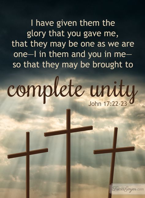 Complete unity in Christ. John 17:20-23 John 17:20-23, John 17:17, Bible Index, John 17, Ephesians 4, Soli Deo Gloria, Favorite Bible Verses, Jesus Is Lord, Gods Promises