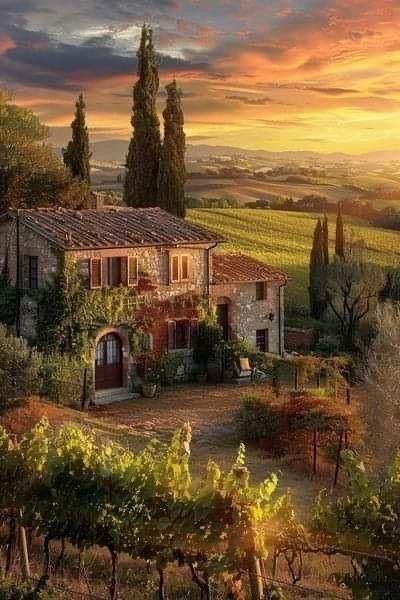 Tuscan Villa Exterior, Italy Countryside, Villa Designs, Tuscan Farmhouse, Tuscany Style, Tuscan Style Homes, Italian Country, Tuscany Landscape, Tuscany Villa