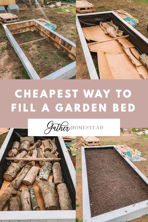 Cheap Raised Garden Beds, Raised Garden Beds Diy Vegetables, Beds Diy, Vegetable Garden Raised Beds, Building A Raised Garden, Diy Raised Garden, Raised Garden Beds Diy, Veg Garden, Bed Plans