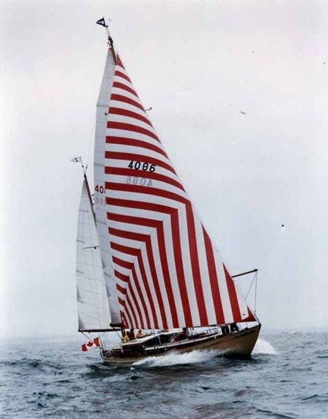 Striped Sailing Coimbra Portugal, Navi A Vela, Sail Boat, Nautical Fashion, Tall Ships, Set Sail, In The Ocean, Catamaran, Red And White Stripes