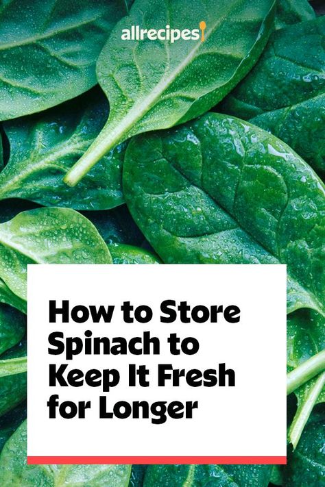 How To Freeze Spinach Leaves, How To Cook Spinach Leaves, How To Store Spinach In Fridge, How To Store Spinach, Freeze Spinach, Best Spinach Recipes, Fresh Spinach Recipes, How To Make Spinach, Cooking Spinach