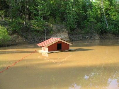 I bet my ducks would prefer a floating house! Free Duck House Plans, Floating Duck House Ideas, Pet Duck House, Duck Floating House, Ducks House, Floating Duck House, Duck House Diy, Pekin Ducks, Duck Ponds