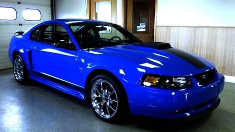 Ford Mustang Generations: Fastest Ford Mustangs Part 3 : 2003 ... 2001 Mustang Bullitt, Mach 1 Mustang, 2003 Mustang, Mustang Build, Sn95 Mustang, New Edge Mustang, Blue Mustang, Mustang Parts, Ford Mustang Cobra