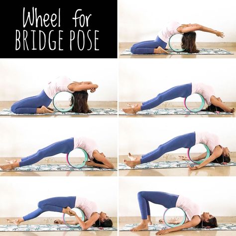 Bridge Pose Variation, Wheel Pose Variation, Yoga Wheel Exercises, Wheel Yoga, Wheel Pose Yoga, Yoga Shala, Ayurveda Lifestyle, Wheel Pose, Yoga Wheel