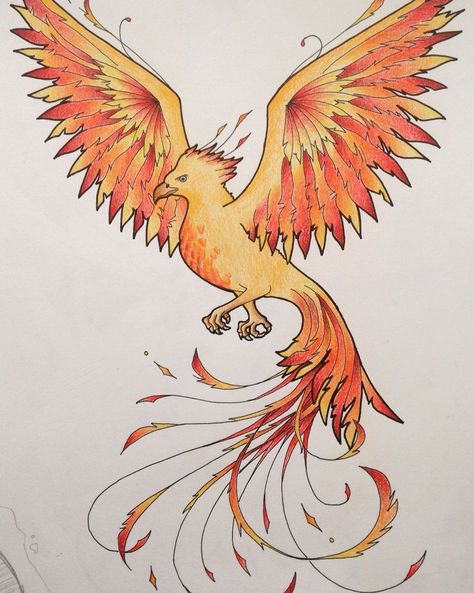 Phoenix Cartoon, Harry Potter Phoenix, Mythical Creatures Drawings, Phoenix Drawing, Snow Tattoo, Phoenix Harry Potter, Phoenix Tattoo Feminine, Bullet Journal Ideas Templates, Getting A Tattoo