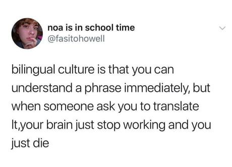 Bilingual? More like BYElingual Bilingual Humor, Learning Languages Tips, Lol Memes, Memes Br, School Humor, Learn French, What’s Going On, Tumblr Funny, Funny Posts