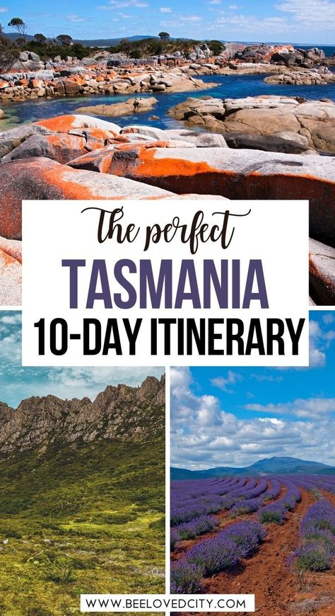 Visiting Tasmania soon? Discover exactly how to spend 10 days in Tasmania. Tasmania road trip | Tasmania travel | Tasmania travel guide | Tasmania australia photos | tasmania road trip bucket… More What To Do In Tasmania, Tasmania Map, Tasmania Itinerary, Port Arthur Tasmania, Wineglass Bay, Australia Tasmania, Tasmania Road Trip, Tasmania Travel, Australia Bucket List