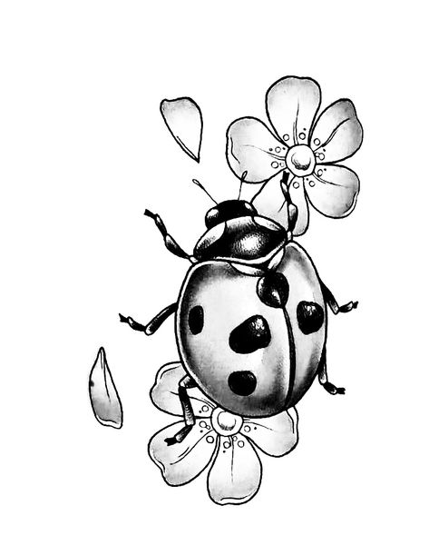 Ladybird Drawing, Bugs Drawing, Lady Bug Tattoo, Bug Tattoo, Insect Tattoo, Tattoo Art Drawings, White Lilies, Tattoo Stencils, Digital Stamps