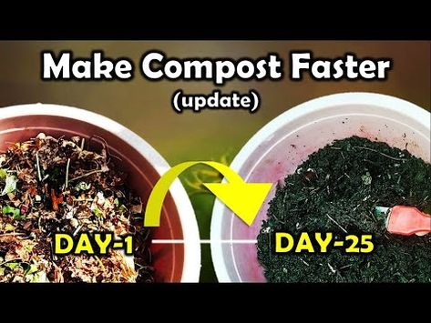 How to make compost faster at home : This is a update video of composting process. Recycling and composting is the best source of plant food and we can make compost easily at home. In this video we have explained the update and its status about making compost faster by following some scientific methods at home and get finished compost. How To Make Compost At Home, Making Compost, Make Compost, Composting Process, How To Make Compost, Natural Pesticides, Organic Pesticide, Composting At Home, Fertilizer For Plants