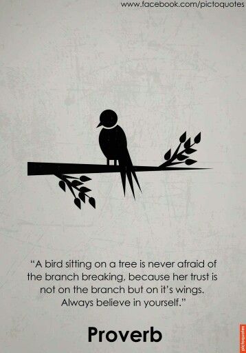 Oooooo this one right here...trust that you will fly just as you always have ... 🌸 Quotes And Lyrics, Always Believe In Yourself, Epic Quotes, Proverbs Quotes, Always Believe, Strong Quotes, Believe In Yourself, Great Words, Reality Quotes