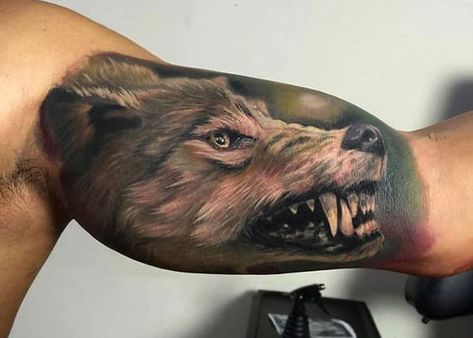 Bicep Tattoos For Men, Tattoo Bicep, Inside Bicep Tattoo, Bicep Tattoos, Inside Of Arm Tattoo, Snarling Wolf, Bicep Tattoo Men, Tattoo Removal Cost, Inner Arm Tattoos