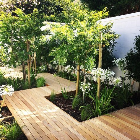 Decking ideas: 27 ways to transform your garden | Real Homes Decking Ideas, Narrow Garden, Wooden Deck, Back Garden Design, Desain Lanskap, Garden Area, Contemporary Garden, Outdoor Gardens Design, Deck Garden