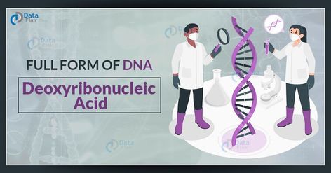 Full form of DNA is Deoxyribonucleic Acid. It is a set of molecules that transmit and carry inherited or genetic instructions from generation to generation. #dna #fullform #knowledge Dna Structure, Generation To Generation, Genetic, Carry On, History