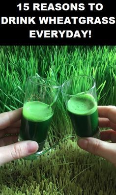 15 Amazing Reasons to Drink Wheatgrass Juice Everyday! Wheatgrass Benefits, Wheatgrass Smoothie, Wheatgrass Juice, Maharashtrian Recipes, Kids Juice, Juicing Benefits, Everyday Health, Juicing For Health, Clean Food