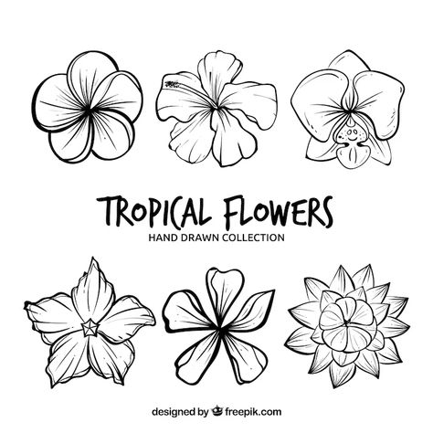 Sea Flowers, Tropical Flowers, Moana, Preschool Crafts, Flower Drawing, Travel Art, Mood Board, Hand Drawn, Vector Free