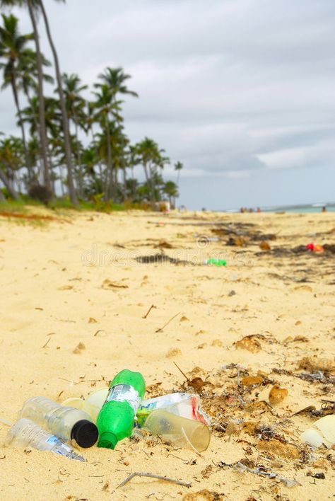 Garbage on the beach. Trash on beach - the man destroys the planet and its image #Sponsored , #Ad, #Sponsored, #beach, #planet, #image, #Trash Trash On Beach, Trash Pictures, Ginger Hair Color, On Beach, Ginger Hair, Albert Einstein, Art Project, Brochure Template, Beach Pictures