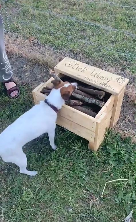 Man Builds A Stick Library For Every Dog At The Park Small Dog Park Ideas, Fun Dog Run Ideas, Outside Dog Activities, Dog Parks Ideas, At Home Dog Park, Outdoor Play Area For Dogs, Home Dog Park Ideas, Private Dog Park Ideas, Diy Dog Park Backyard