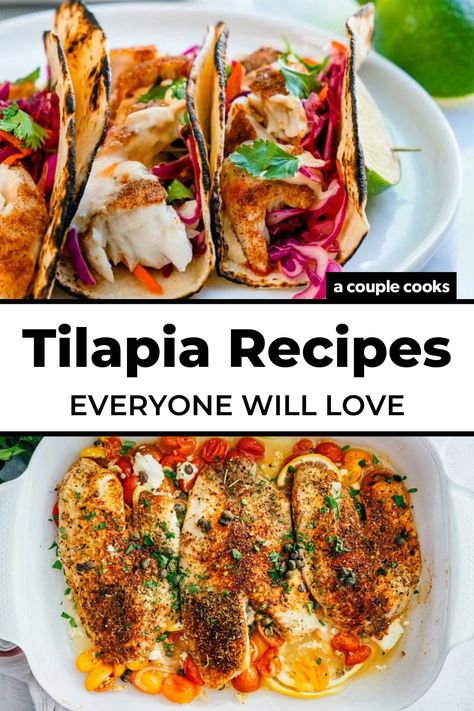 These tilapia recipes make this popular fish taste irresistible! Bold flavors pair brilliantly with the flaky white fish. #tilapia #tilapiarecipes Baked Fish Tilapia, Healthy Dinner Recipes Fish, Tilapia Piccata, Crispy Tilapia, Honey Lime Tilapia, Recipes Pescatarian, Seafood Healthy, Baked Tilapia Recipes, Parmesan Crusted Tilapia