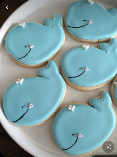 Whale Sugar Cookies, Whale Cookies, Whale Cakes, Flood Icing, Fish Cookies, Beach Cookies, Cookies Sugar, Summer Cookies, Sugar Cookie Designs