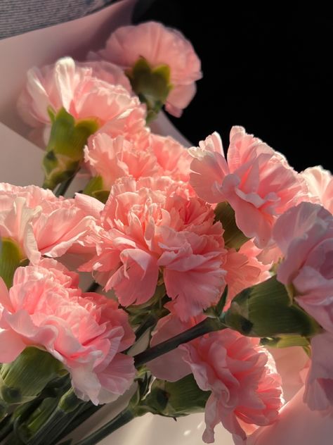 Pink Carnation Aesthetic, Carnation Aesthetic, Roses And Carnations, Pink Carnations, Nothing But Flowers, Flower Therapy, Natural Gifts, Love Flowers, Flowers Photography