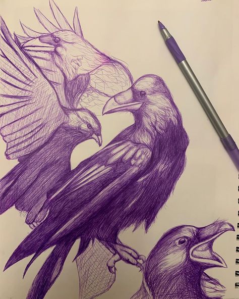 @sketchrightnow on Instagram: “How do you tell the difference between a crow and a raven? Either way they both cool.  Materials: Purple pen Canson xl mix media sketchbook…” Purple Pen, Iphone Theme, A Crow, Purple Themes, Pen Sketch, Sketchbook Pages, Mix Media, New Iphone, Blue And Purple