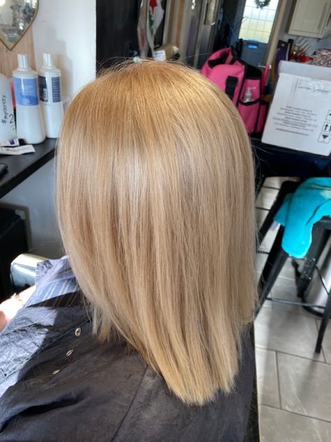 @thairapybyemma full head tint using leyton house colours and sued toner. no bleach used. Leyton House, House Colours, Warm Blonde, House Colors, Toner, Blonde Hair, Bleach, Blonde, Long Hair Styles